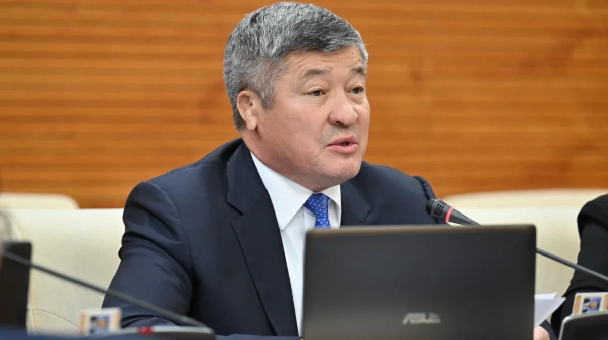 Фото: пресс-служба Мажилиса