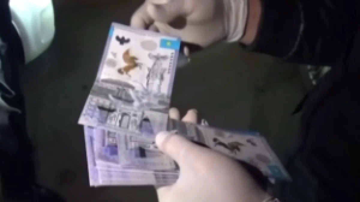 скрин с видео АФМ РК