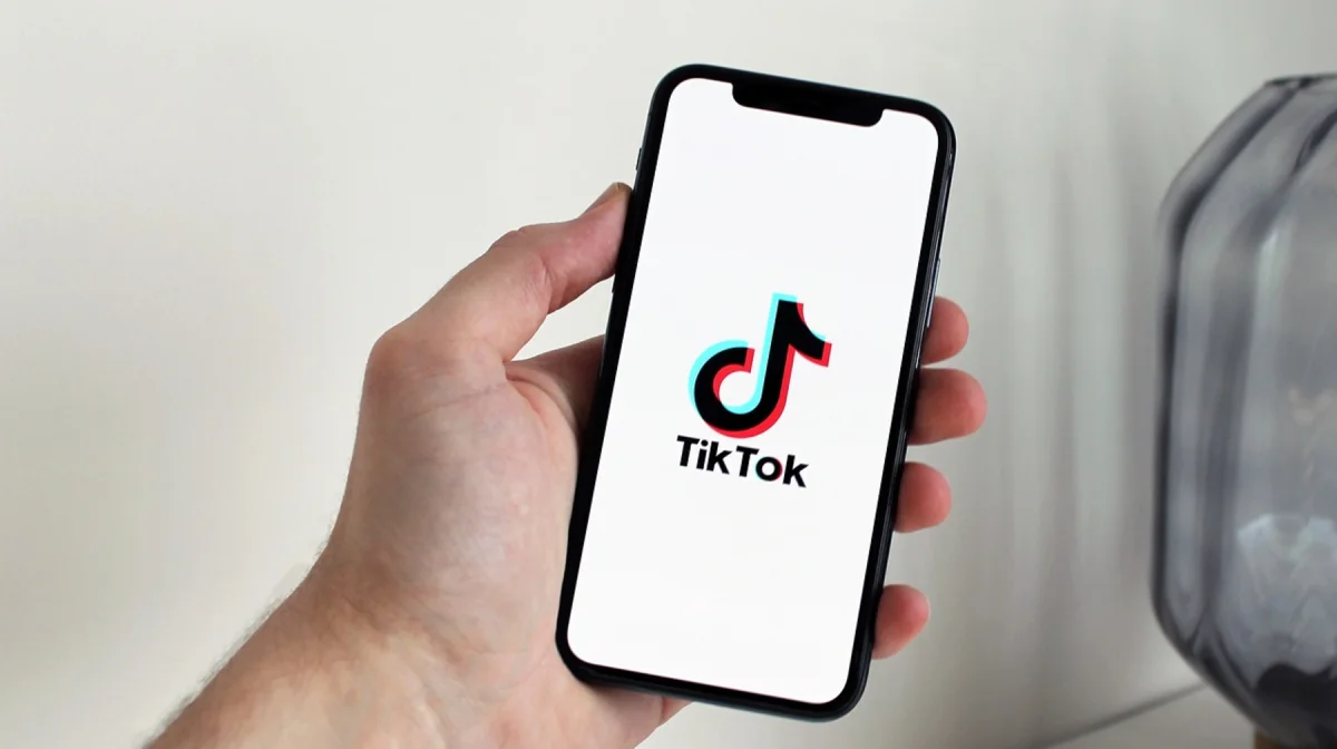 TikTok-қа шектеу: Үкімет не дейді?