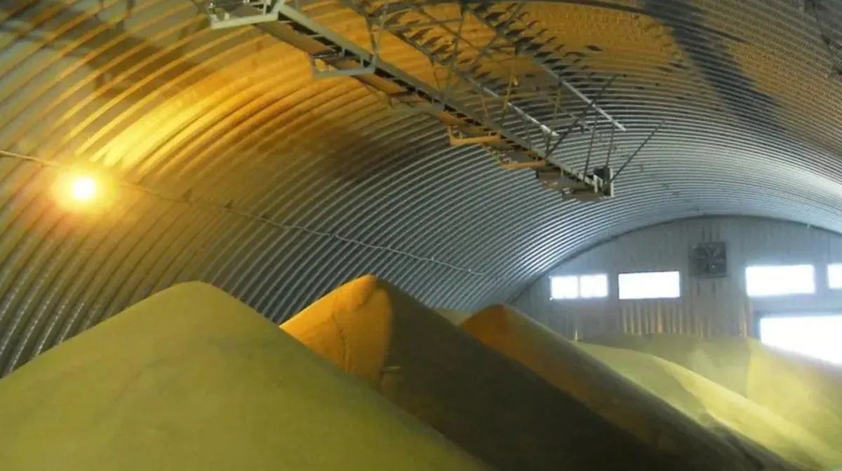 Президент тапсырмасы: шаруалардан астық сатып алынады