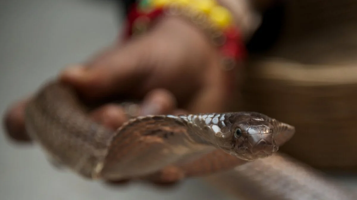 Фото: istockphoto.com