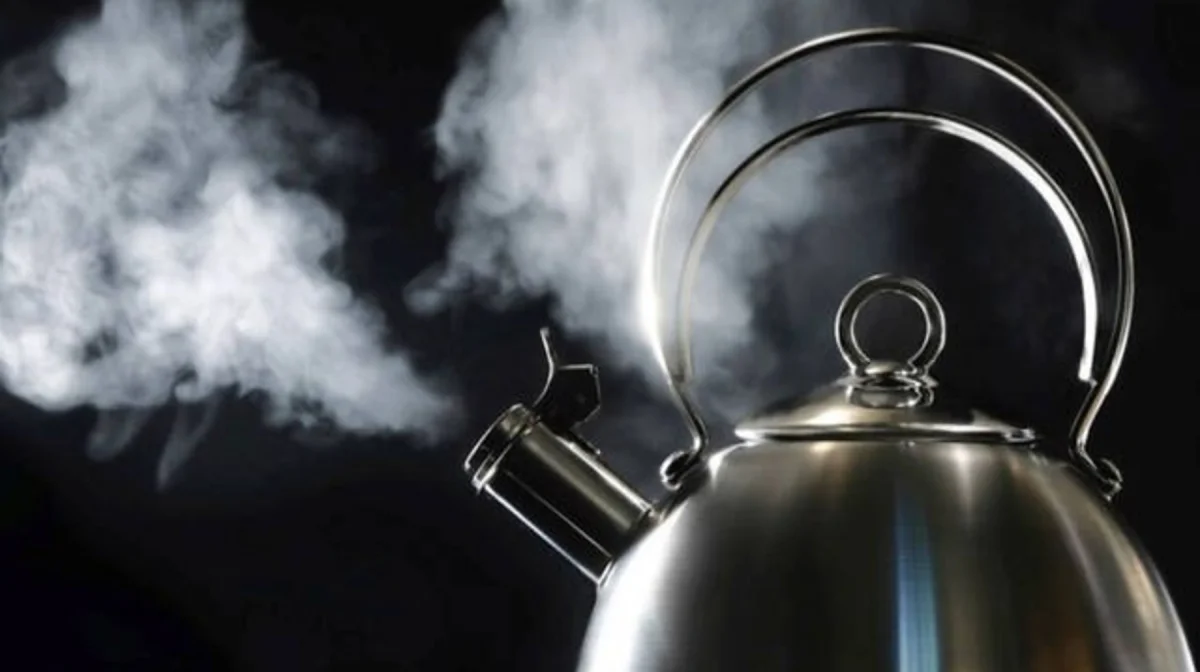 Фото: открытый источник