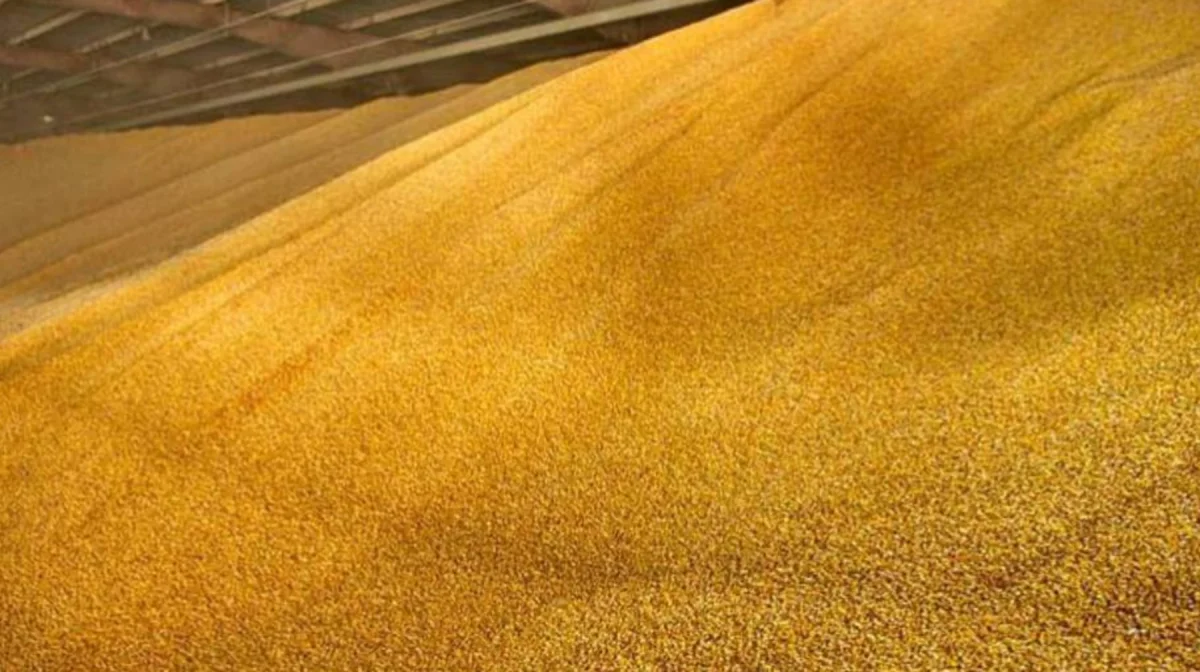 Қазақстан Ресей арқылы Еуропаға бидай мен ет жеткізуді ұлғайтады