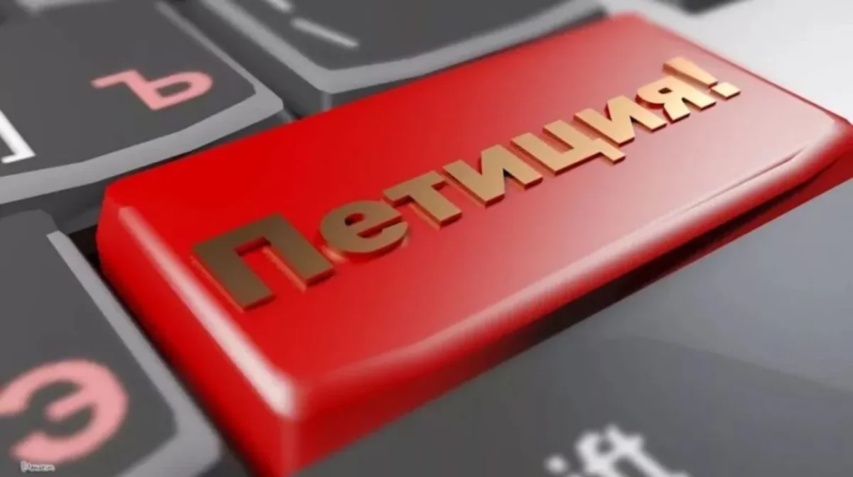 Фото: открытые источники