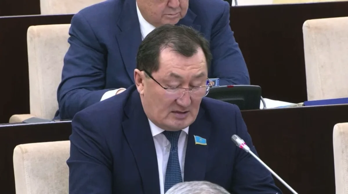 Ұлттық қор тұрақтылық құралы ма, әлде бюджеттің қосымша қаржы көзі ме? – сенатор