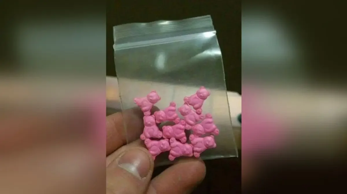 Фото: МВД РК