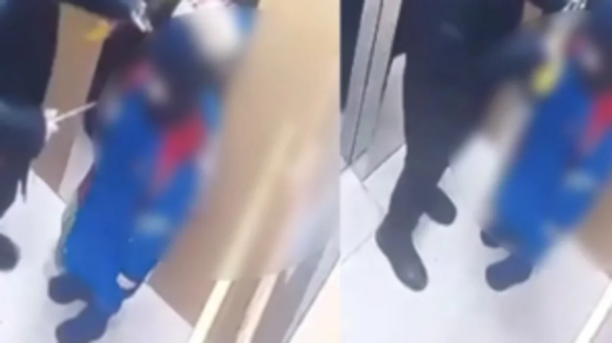 Фото: открытый источник