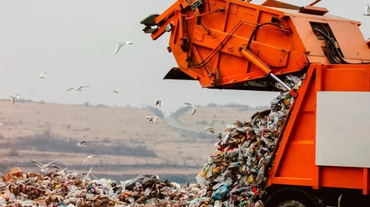 Алматыда қоқысты қайта өңдеу аумағында әйелдің бөлшектелген денесі табылды