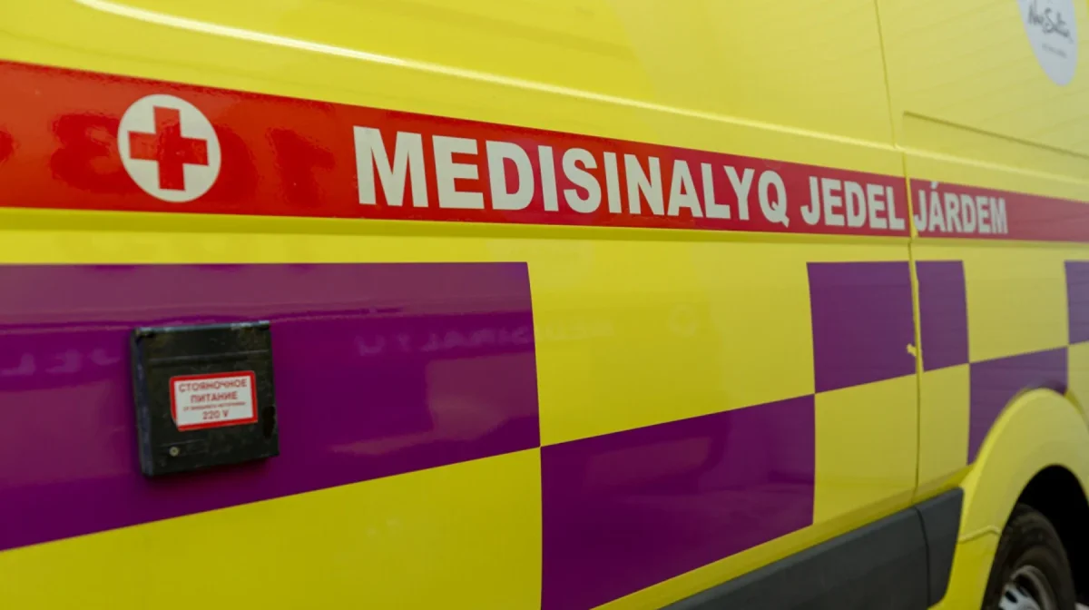 Фото: открытый источник