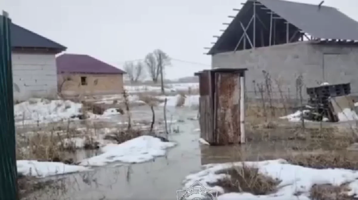 «Шлюзді ашып жіберген»: Алматы облысында бірнеше үйді су басты