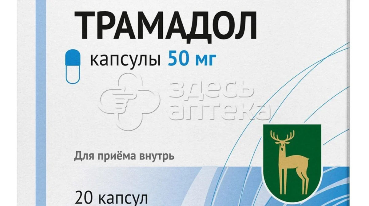 Фото: открытый источник