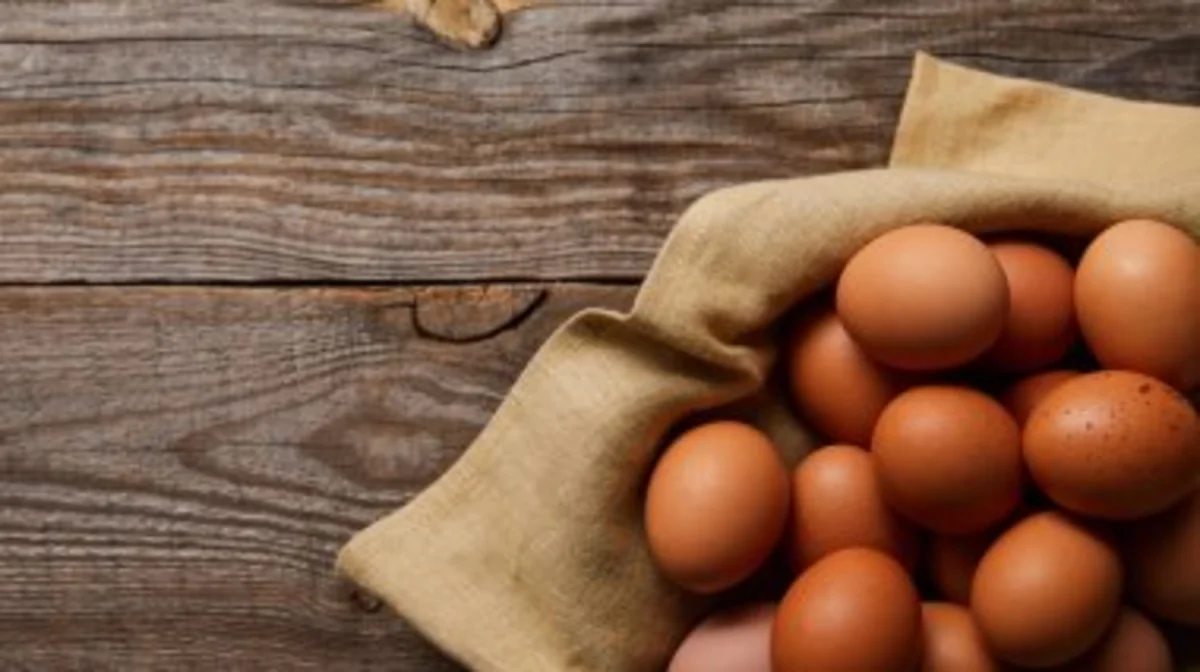 Фото: depositphotos.com