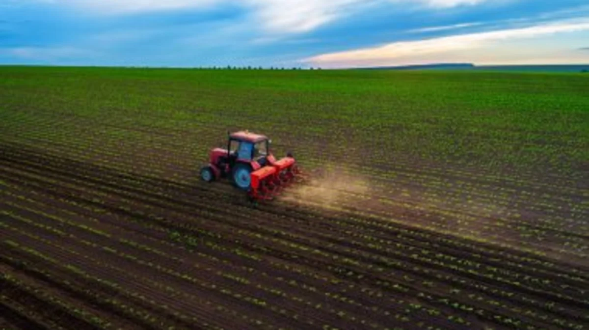 Фото: depositphotos.com