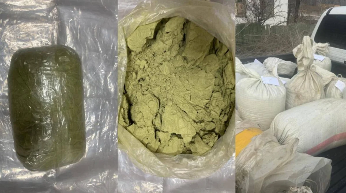 Жамбыл облысында есірткі арнасы жойылды