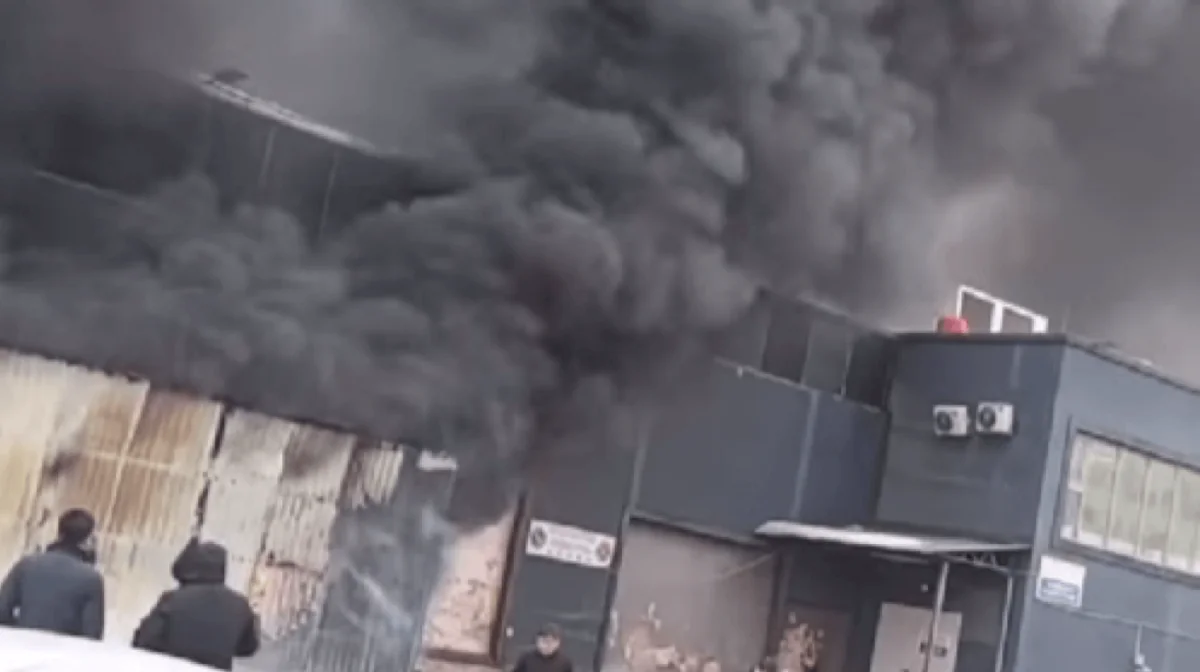 Фото: открытый источник