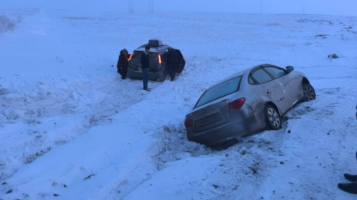 Қостанай облысында шетелдіктер жол апатына түсті