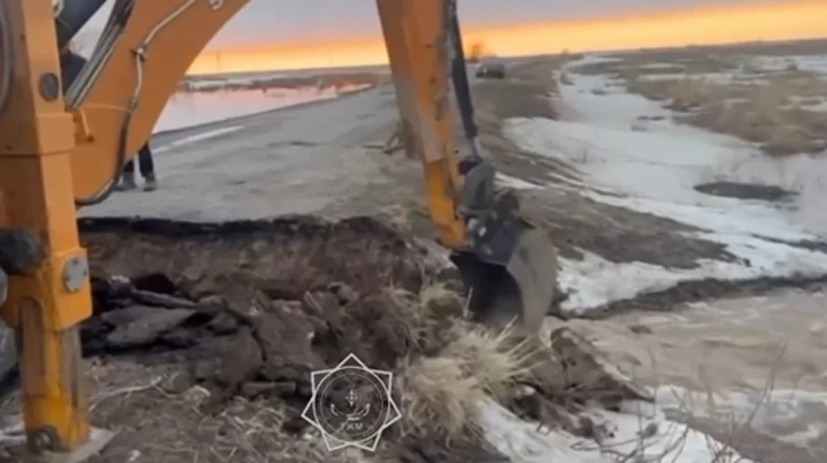 скриншот из видео