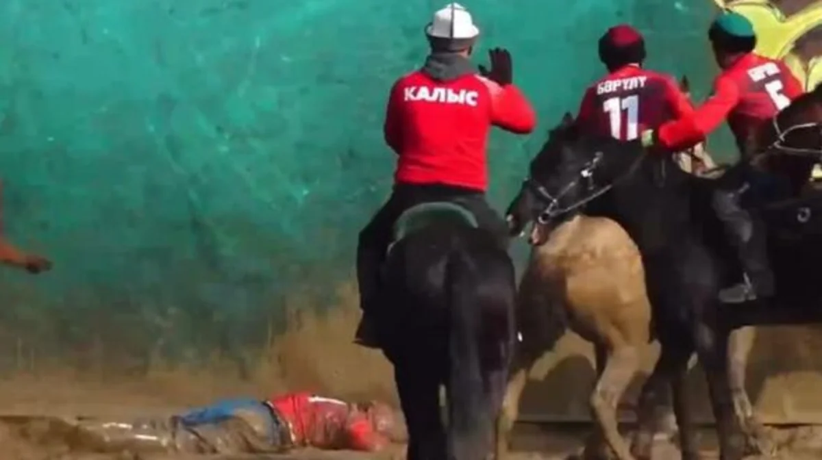 скриншот из видео