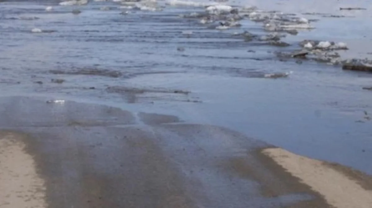 Скрин из видео