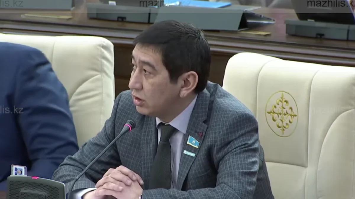 Ринат Зайытов: Шалғай ауылдағы баланың тісі ауырса, оған Астанадағы министрдің жүрегі ауыруы керек