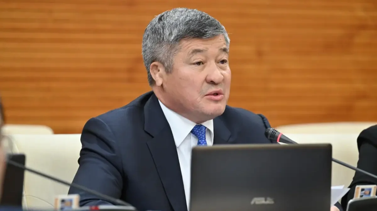 Дәулет Тұрлыханов қызметінен босатылды