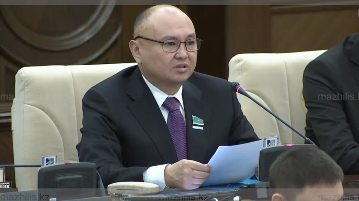 «Бос жатқан жер жау шақырады!»: Ерлан Саиров шекаралық аудандардың мәселесін көтерді