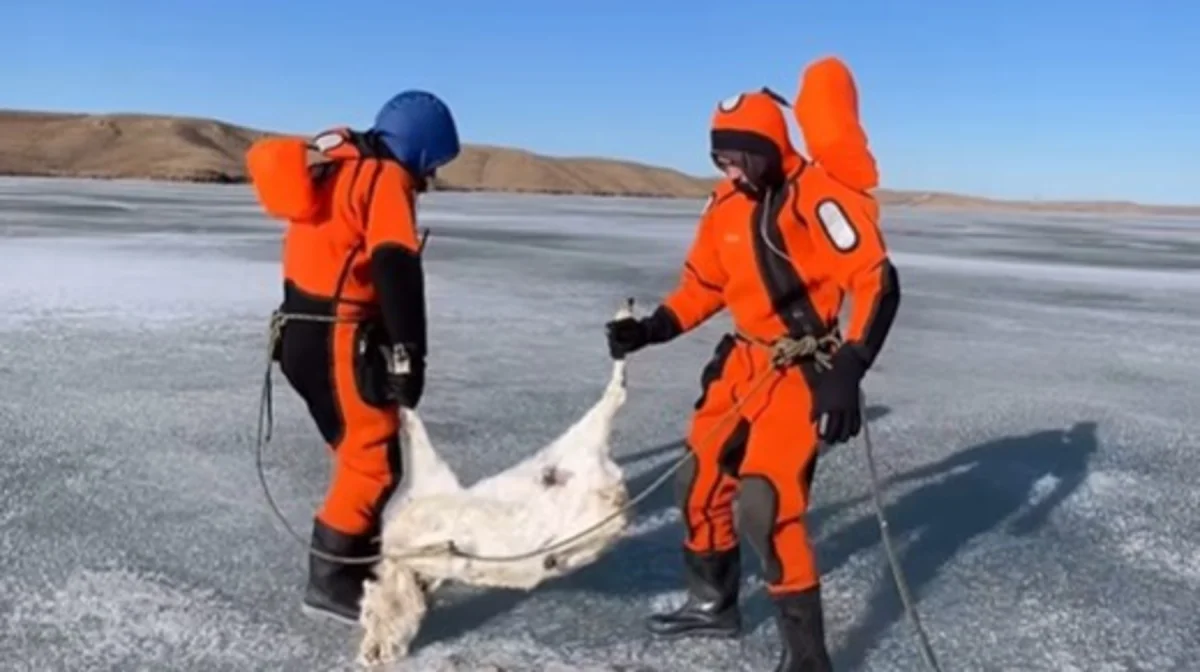 скриншот из видео