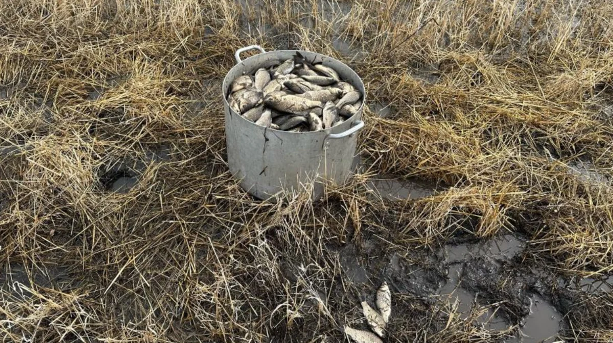 Комитет рыбного хозяйства