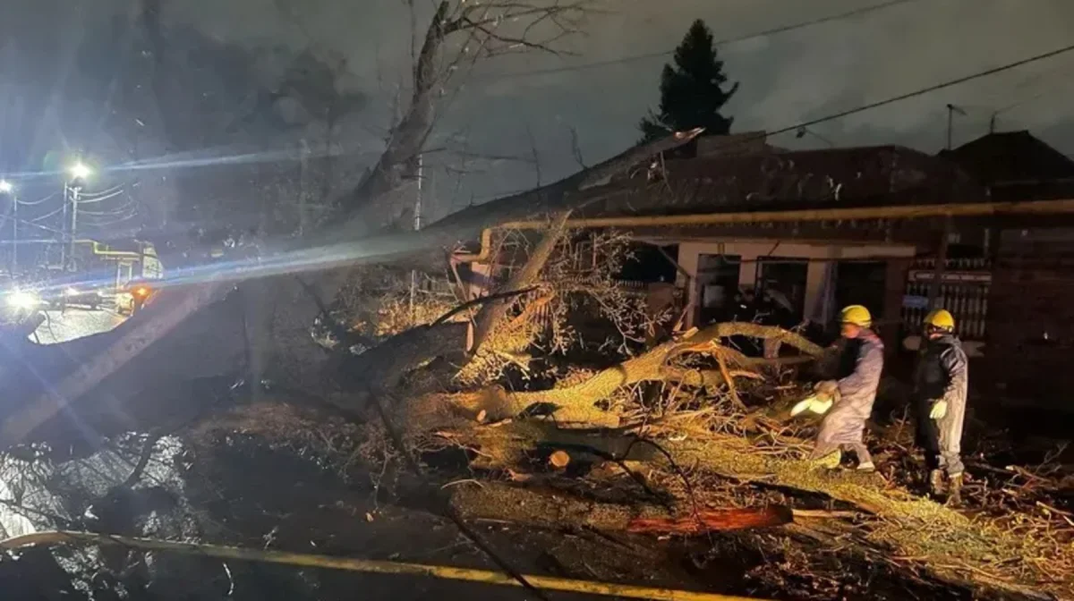 Алматыда дүлей дауыл: тұрғын үйлер бүлініп, жарық өшті