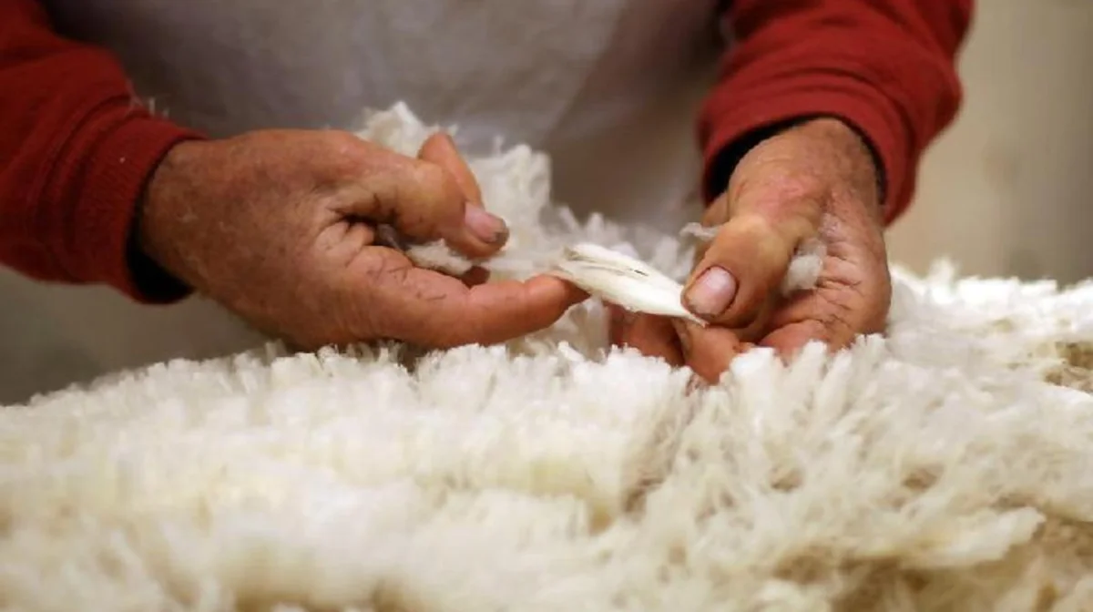 Фото: АШМ баспасөз қызметі