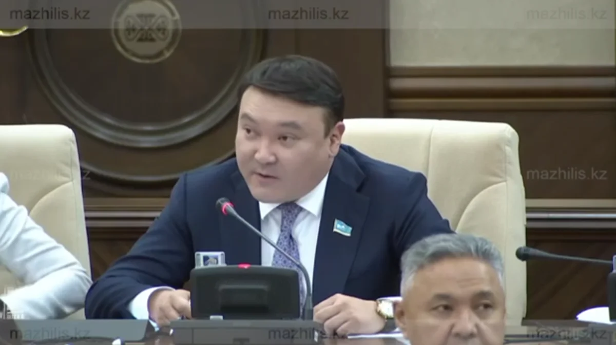 «Құқық қорғау органдары қайда қарап отыр?»: Депутат құзырлы министрліктердің жұмысына мін тақты