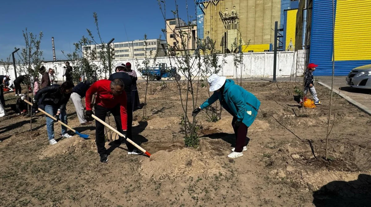 Көркейту-көгалдандыру жалғасуда: Алматы облысында көктемде 65 мың көшет отырғызылды