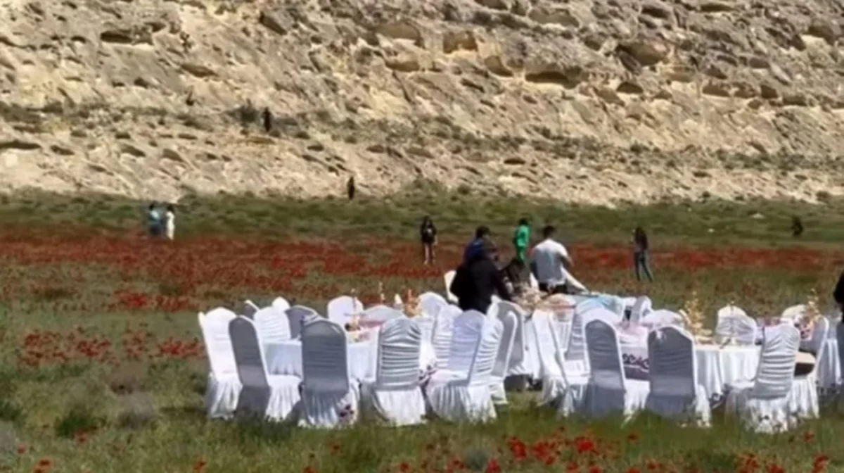 Маңғыстауда қызғалдақ даласында мереке ұйымдастырғандардың видеосы тарады