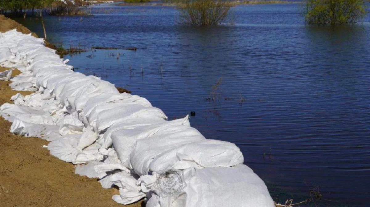 ШҚО-да ондаған үйдің ауласын су басты