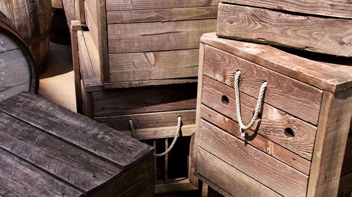 Коррупция на границе: костанайские инспекторы пропускали подкарантинные товары