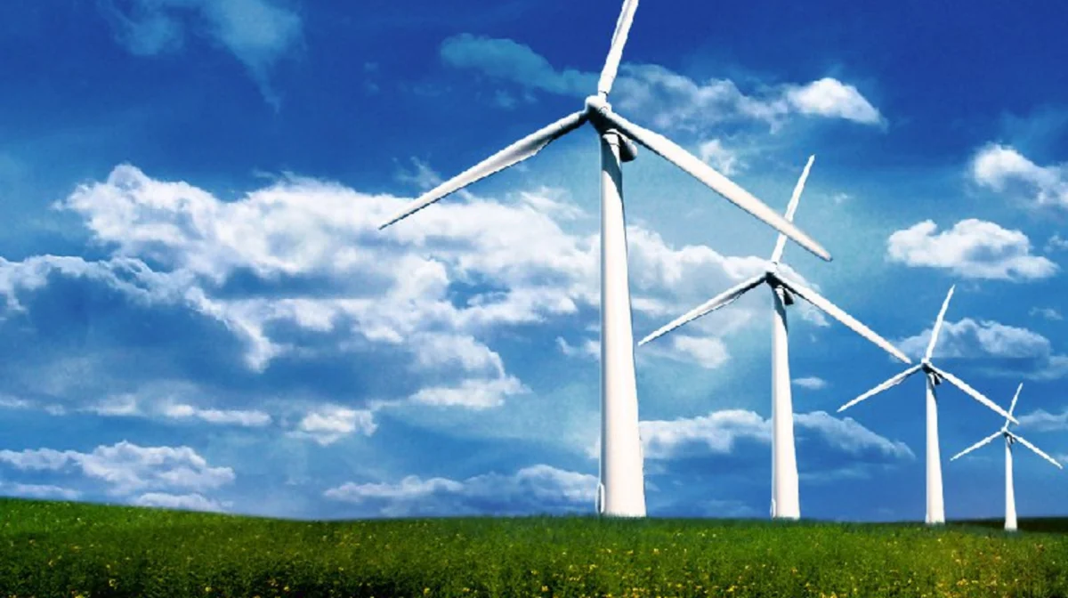 Желге ұшқан ақша: Астанада экс-депутат сотталды