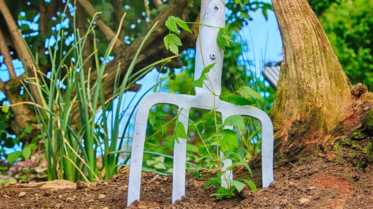 С вилами на полицейского набросился житель Алматинской области