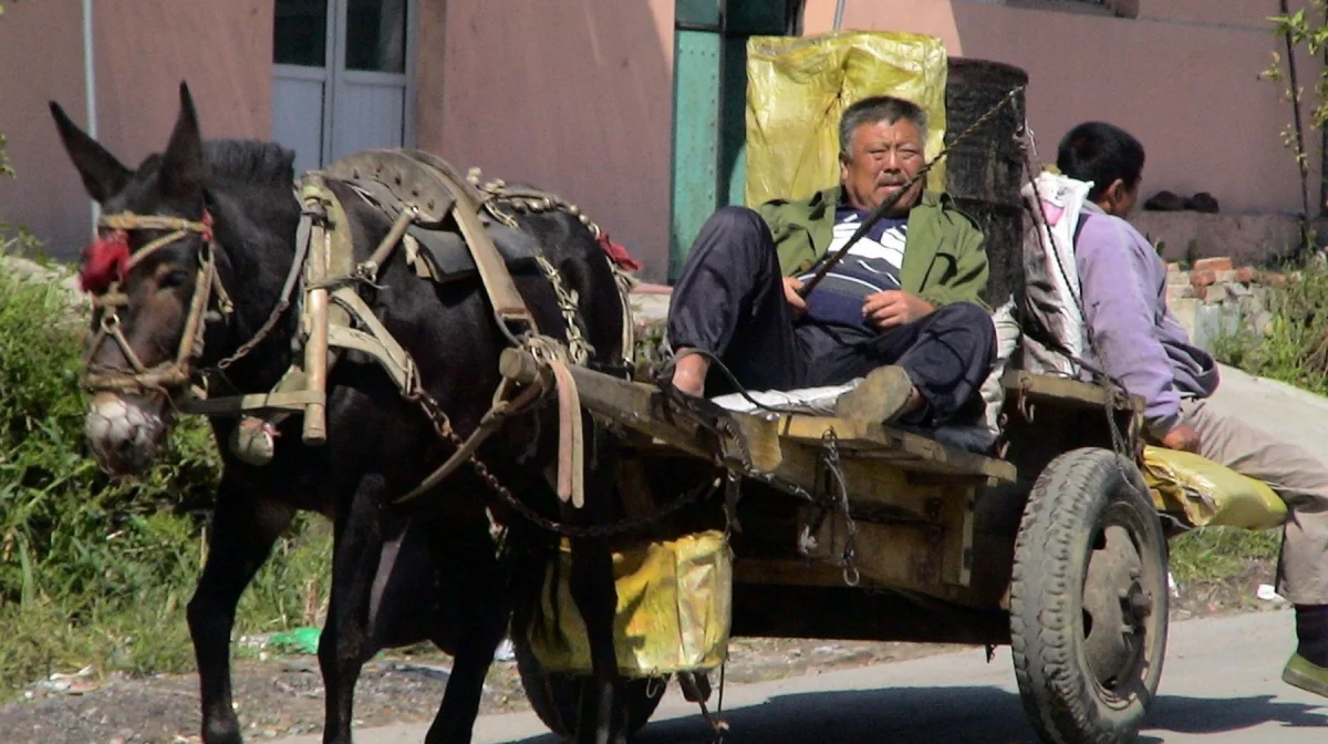 Демографический спад в городах Казахстана: кто теряет больше всего жителей?