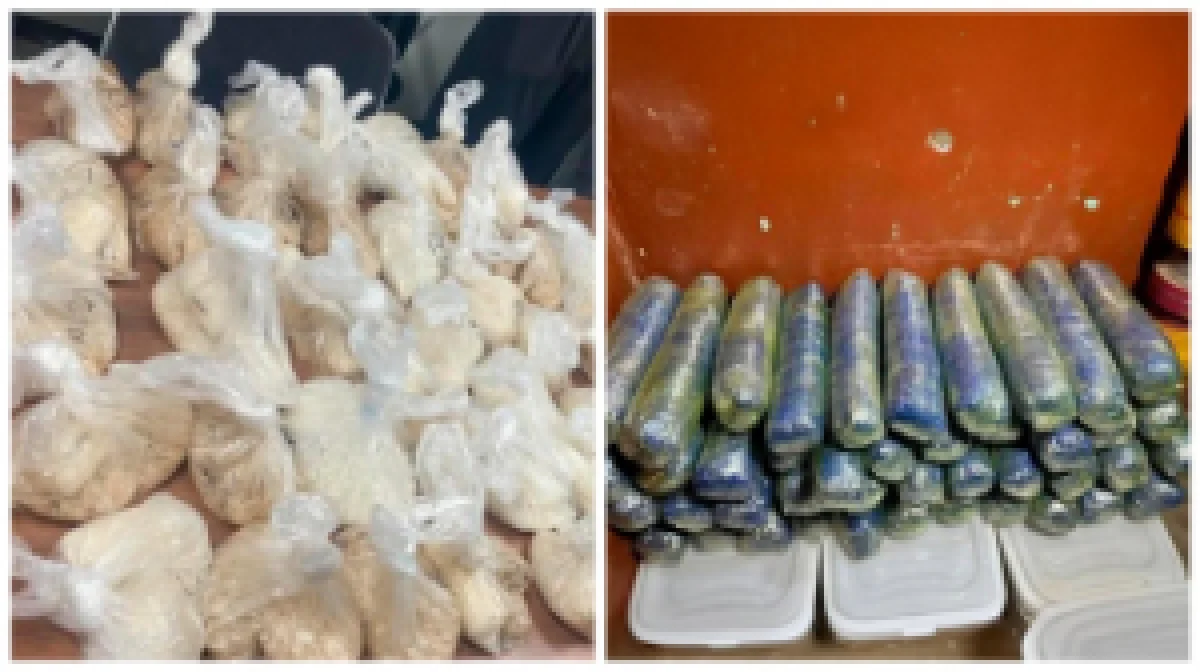 Шымкент тұрғынынан 83 шелек марихуана табылды