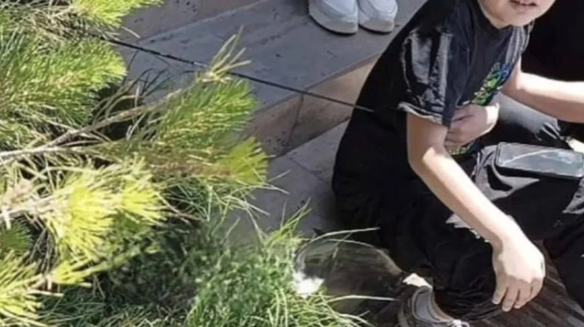 Шымкентте жасөспірім садақ оғынан жарақат алды