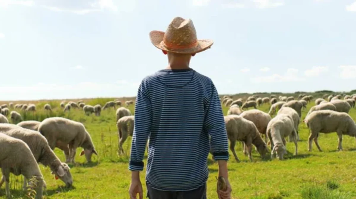 Қостанай облысында мал іздеуге шыққан екі жасөспірім жоғалып кеткен