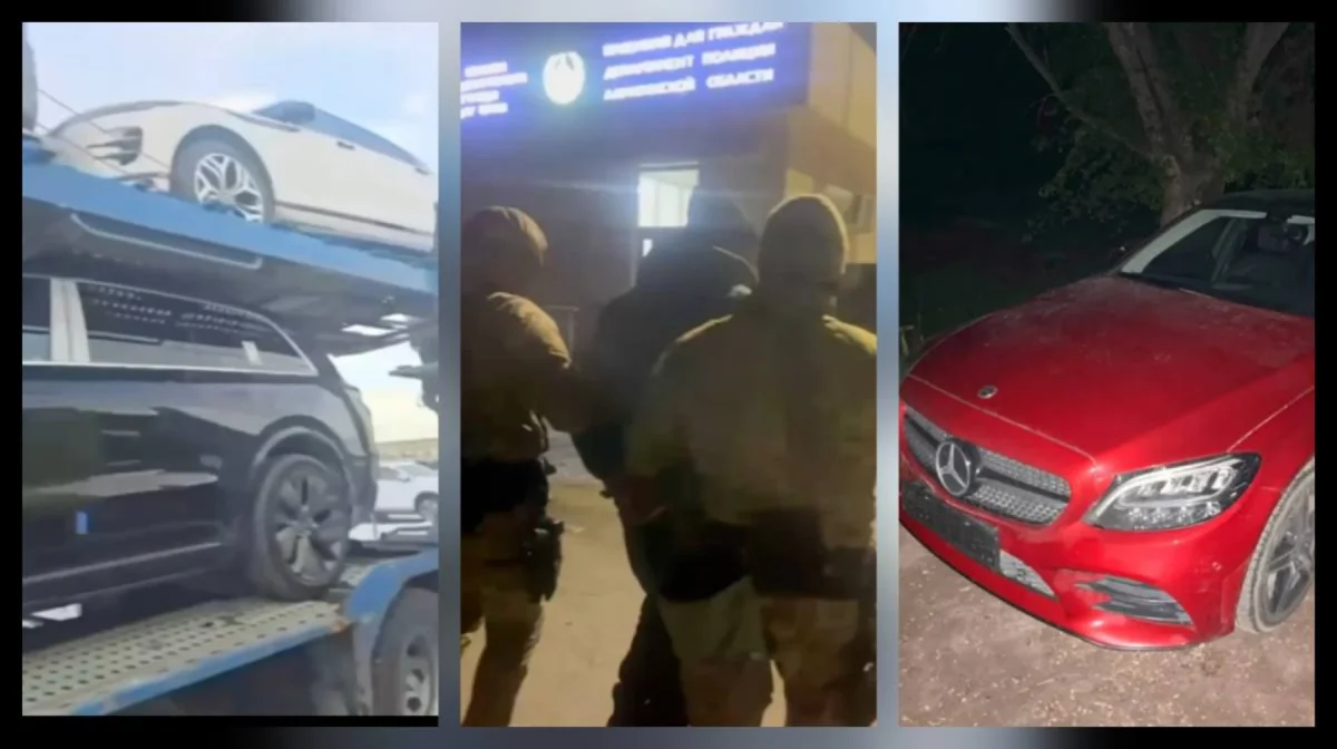 Дело на 314 млн тенге: Иностранец пострадал от автомошенников в Казахстане