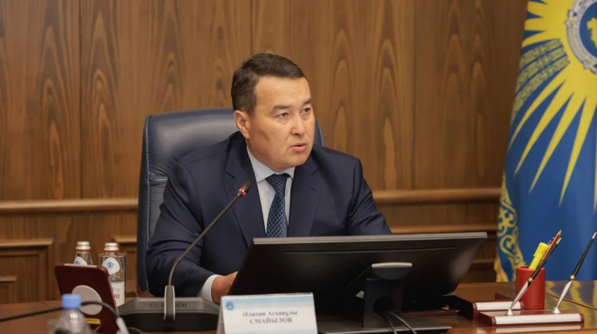 Мемлекеттік аудит: Әлихан Смайылов жауаптыларды шілдеге дейін жазалауды талап етті