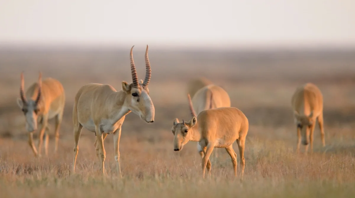 Министерство экологии и природных ресурсов РК