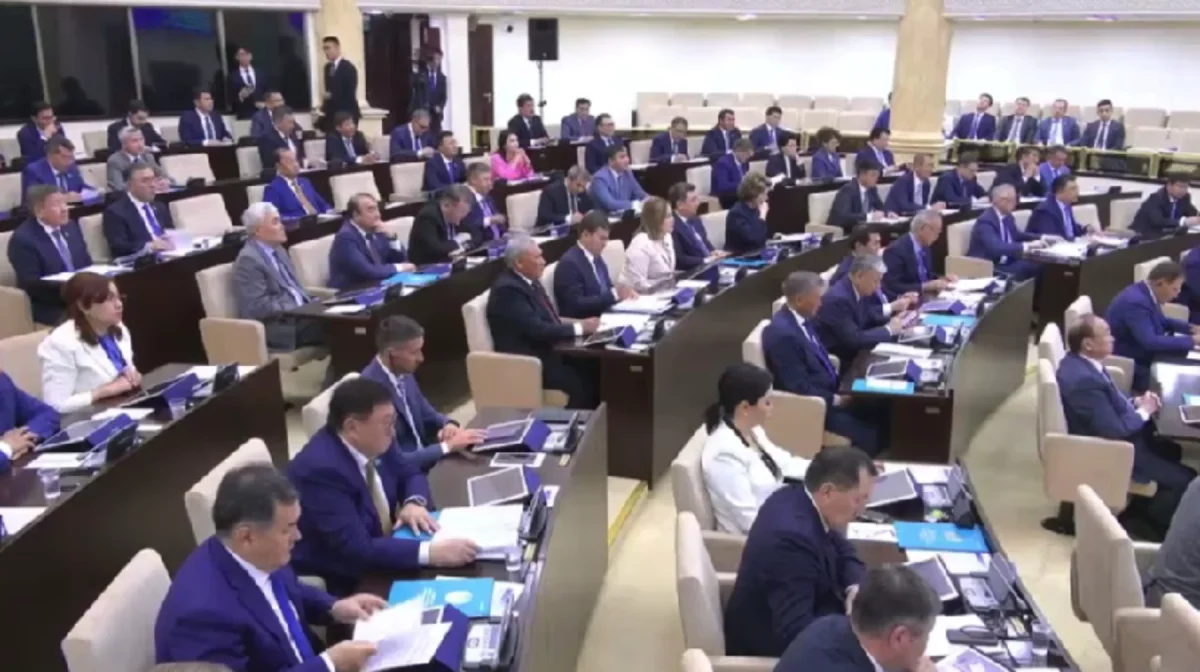 Интернет жоқ, дерек қате, құрылыс тоқтап тұр: Сенат бюджеттің олқылықтарын әшкереледі