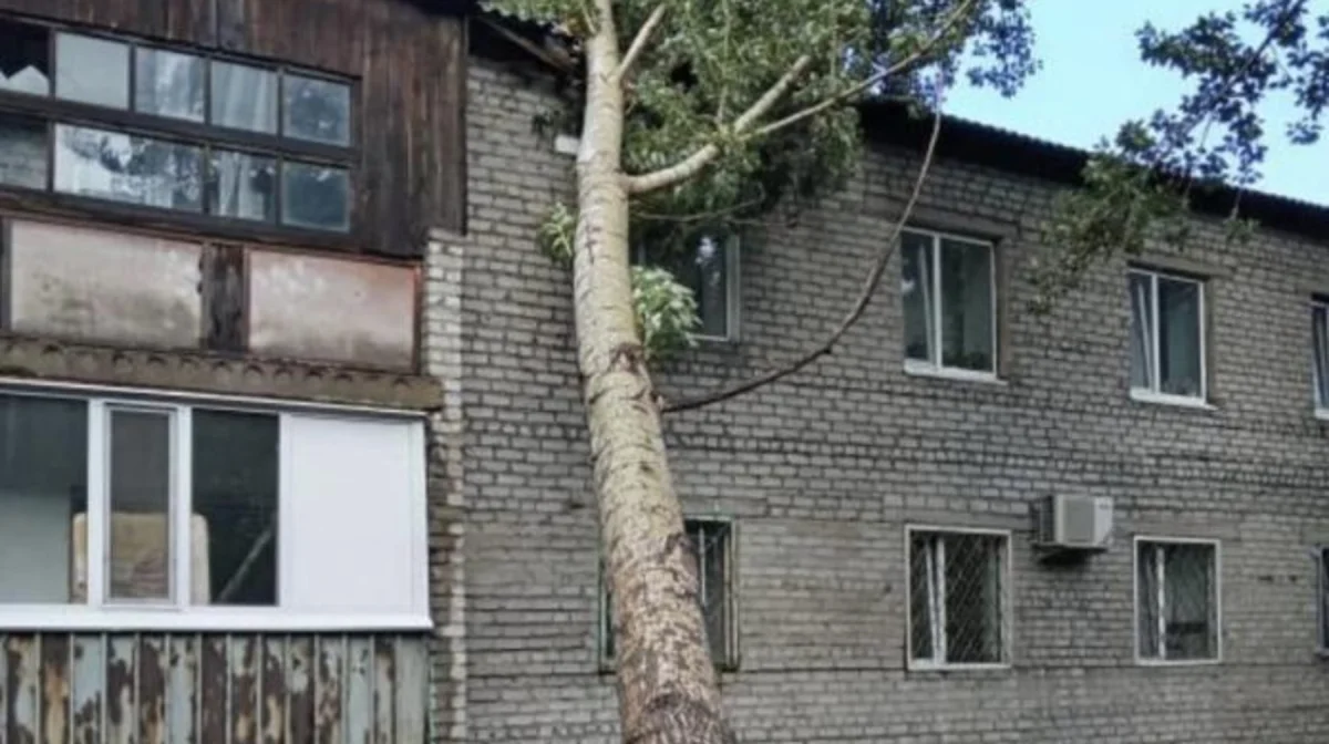 акимат Павлодарской области