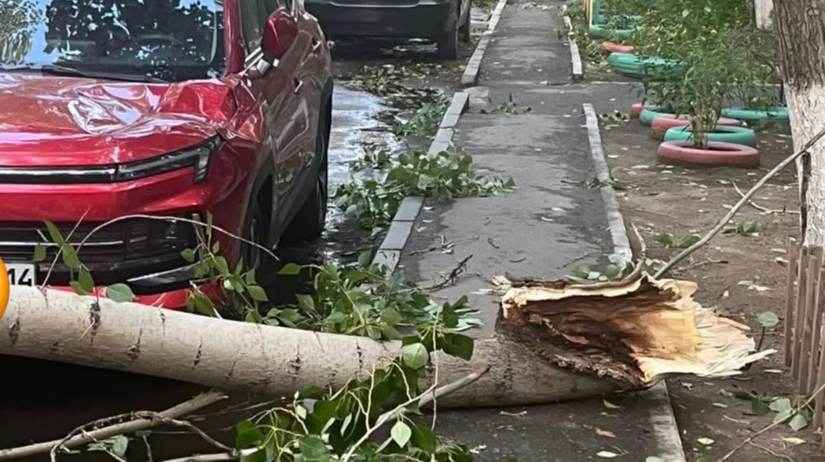 акимат области