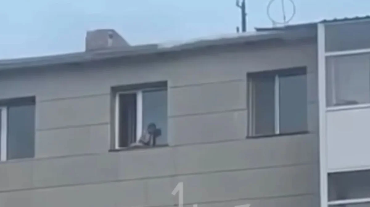 Фото: видео скрин 