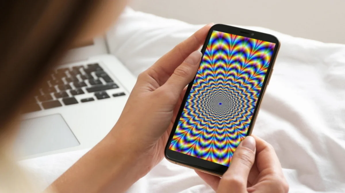 Фото: открытый источник