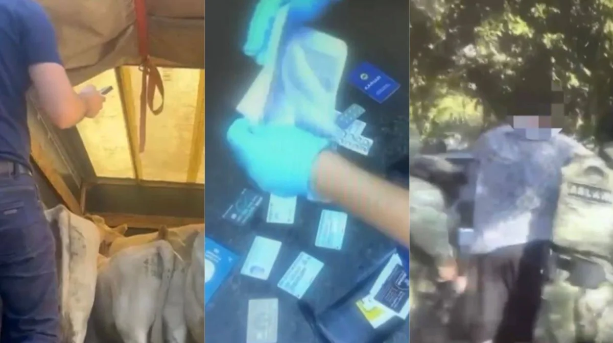 Жетісу облысында 9,5 млн теңгенің малын ұрлағандар ұсталды